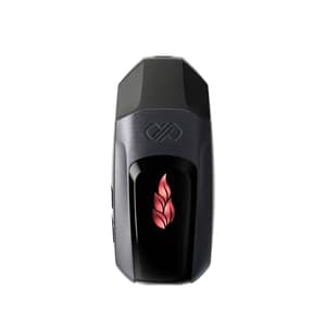 Boundless Vexil